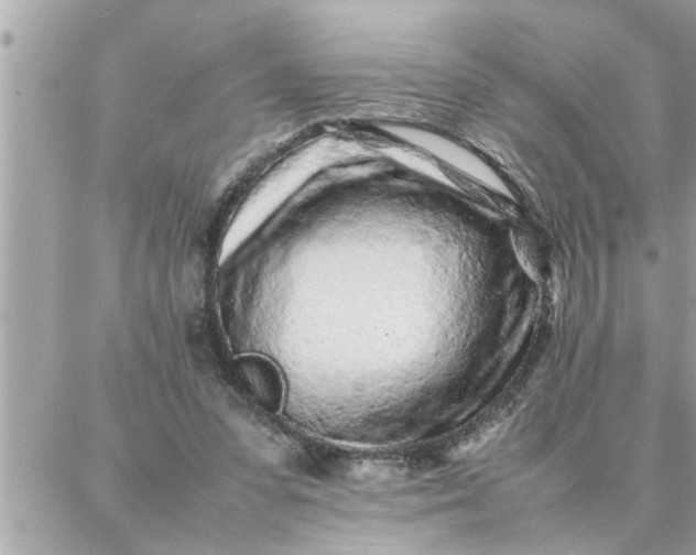 X0000087360303200705041902