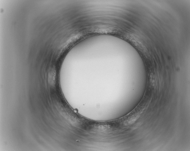 X0000087360304200705041902