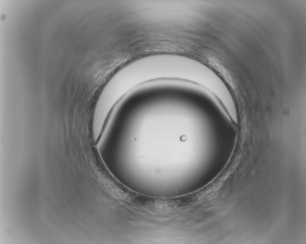 X0000087360305200705041902