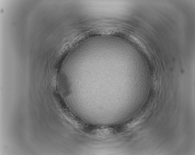 X0000087360307200705041902