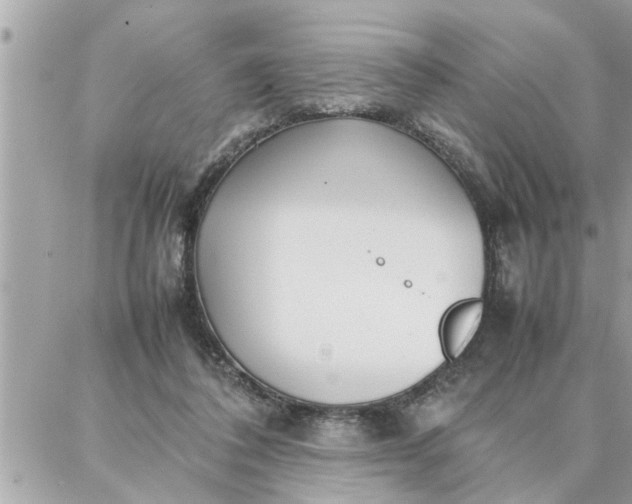 X0000087360308200705041902