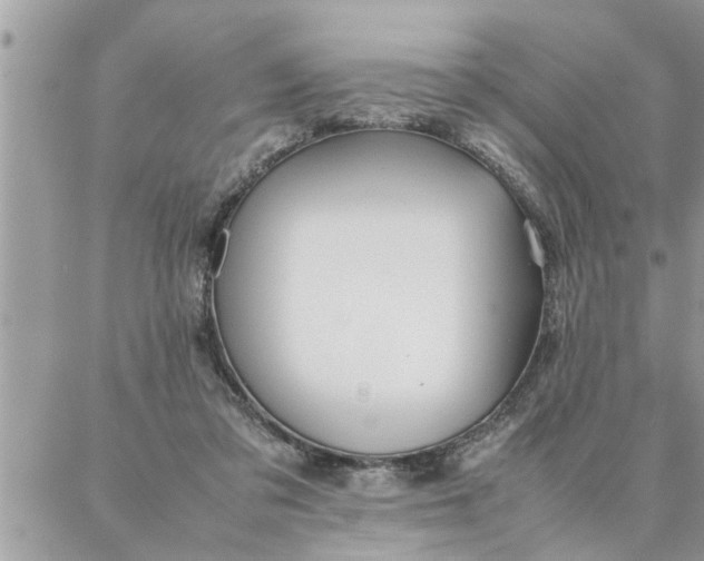 X0000087360309200705041902