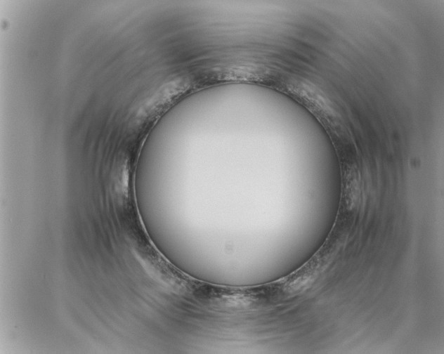 X0000087360310200705041902