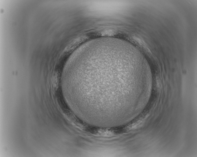 X0000087360311200705041902