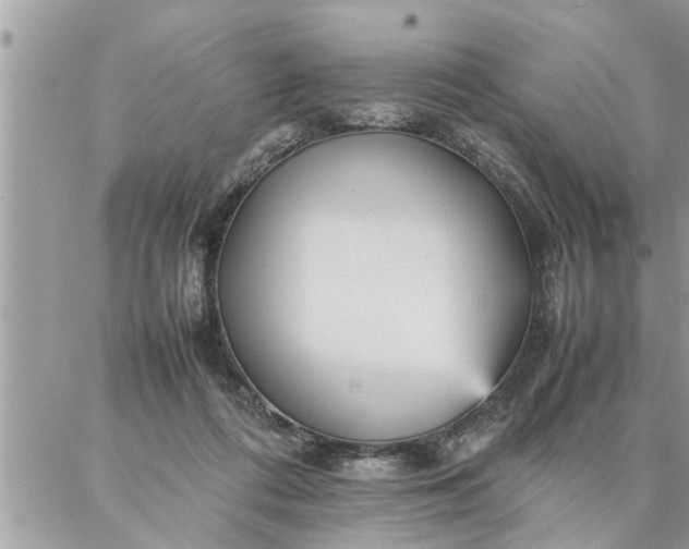 X0000087360312200705041902