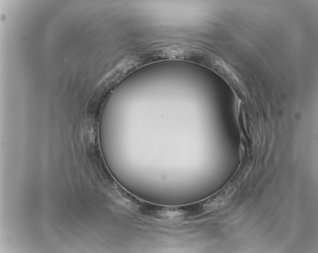 X0000087360313200705041902