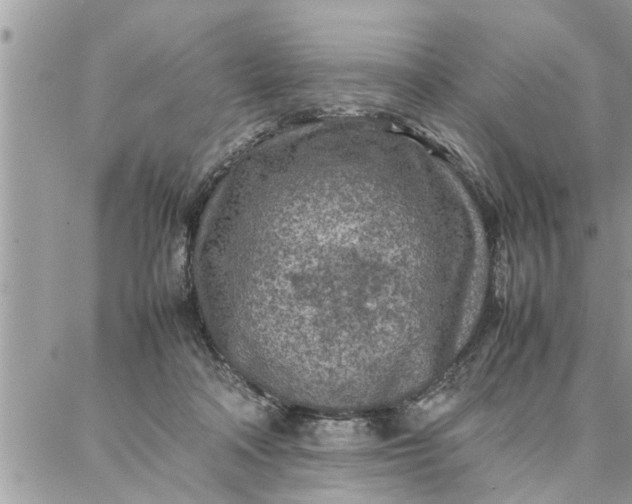 X0000087360314200705041902