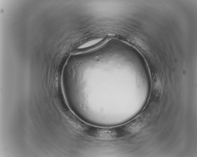 X0000087360315200705041902