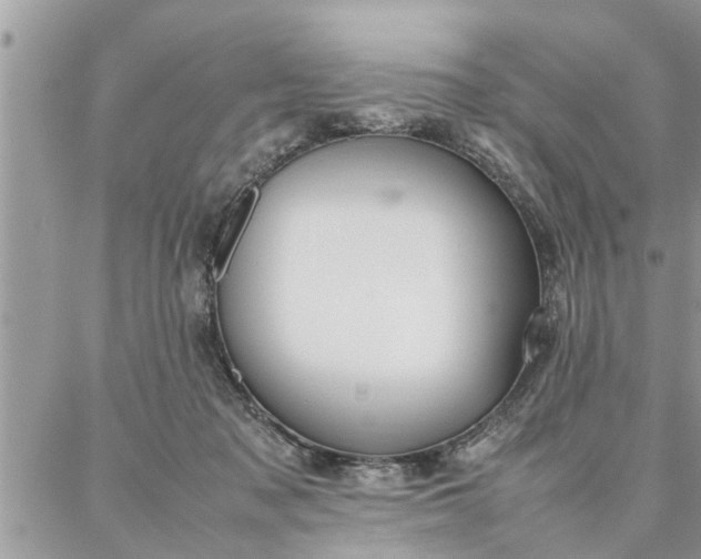 X0000087360317200705041902