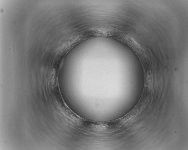 X0000087360318200705041902