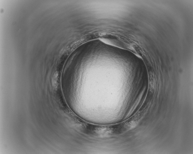 X0000087360319200705041902