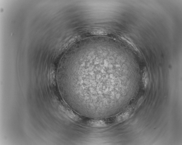 X0000087360322200705041901