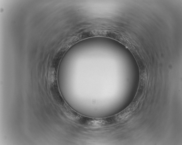 X0000087360323200705041901