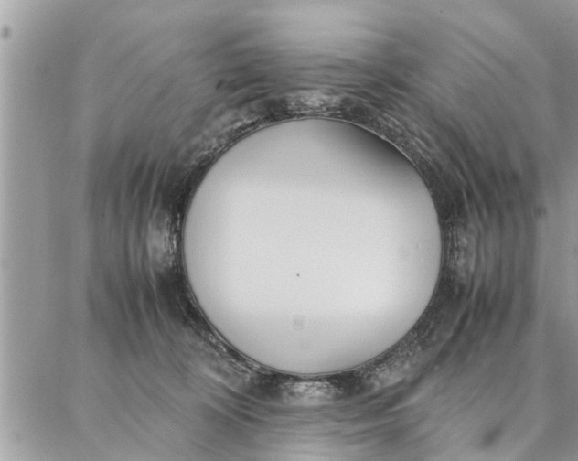 X0000087360324200705041901