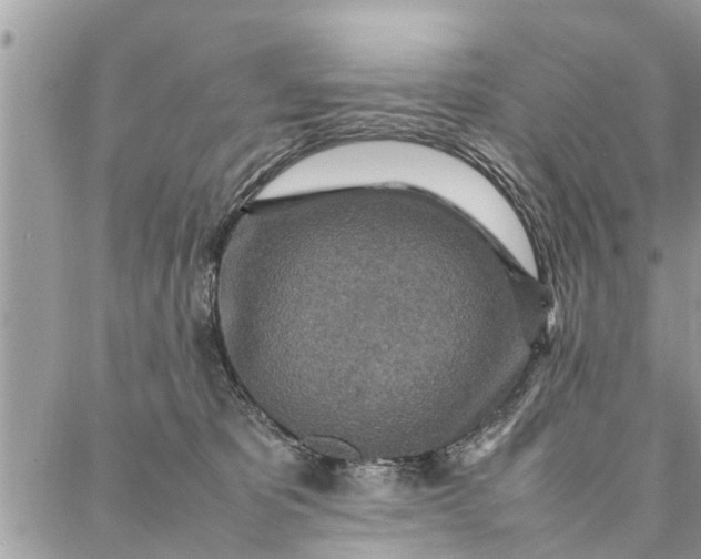 X0000087360325200705041901