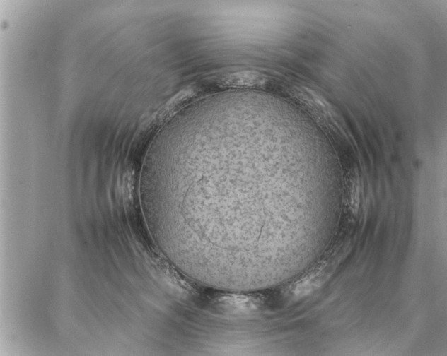 X0000087360326200705041901