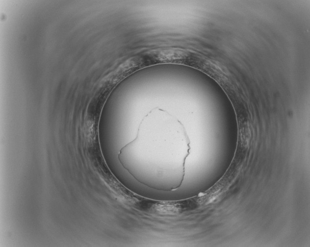 X0000087360327200705041901