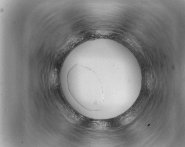 X0000087360328200705041901