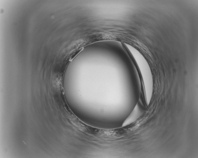 X0000087360329200705041901