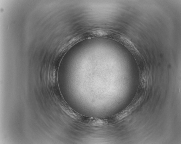 X0000087360330200705041901