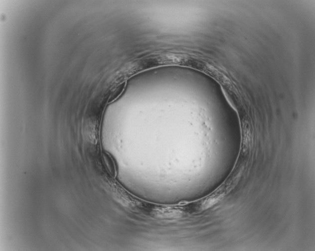 X0000087360331200705041901