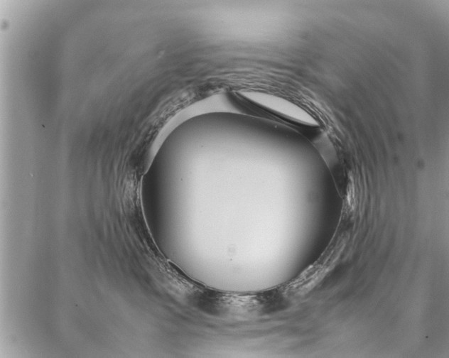 X0000087360333200705041901