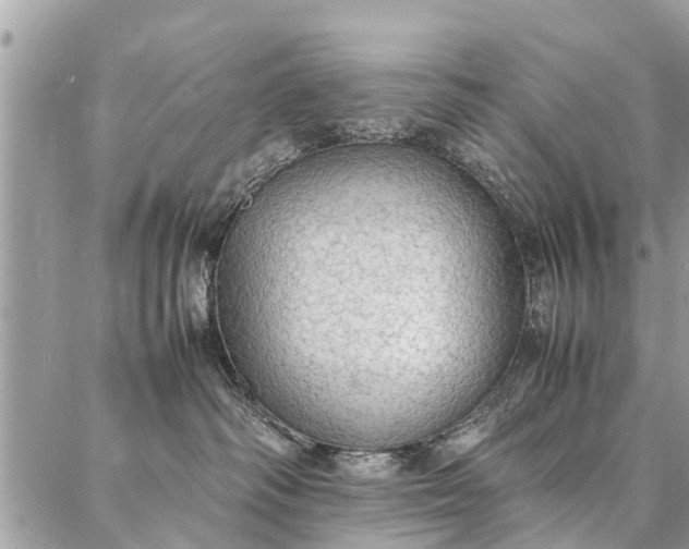 X0000087360334200705041901