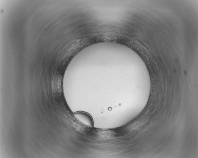 X0000087360336200705041901