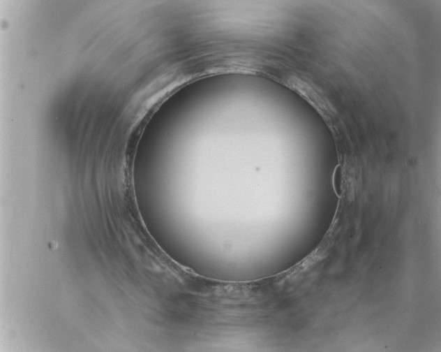 X0000087360338200705041900