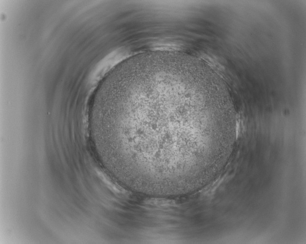 X0000087360339200705041900