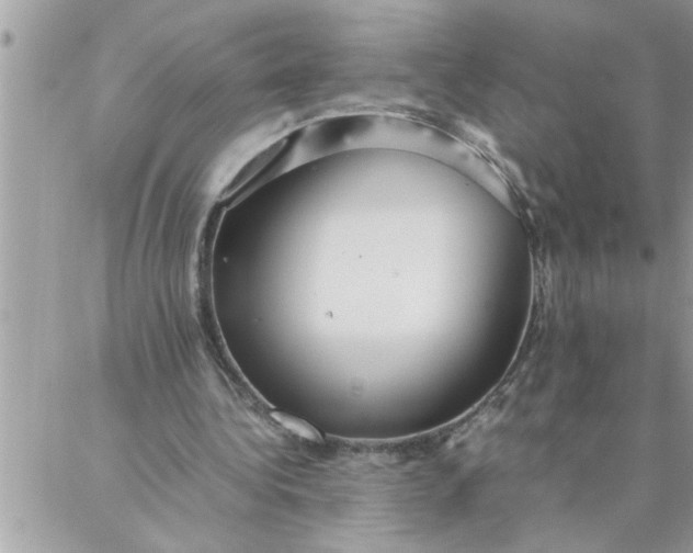 X0000087360340200705041901