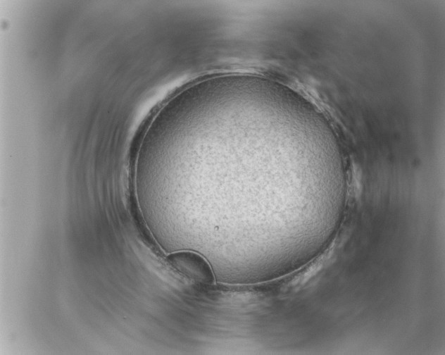 X0000087360342200705041901