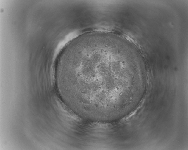 X0000087360343200705041901