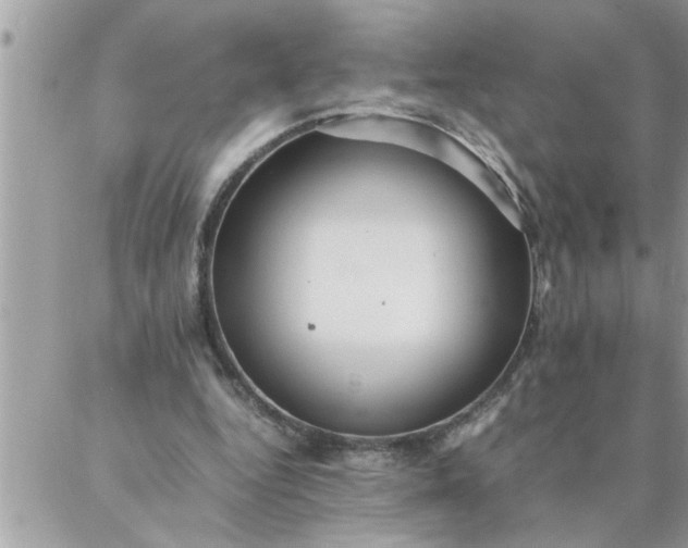 X0000087360344200705041901