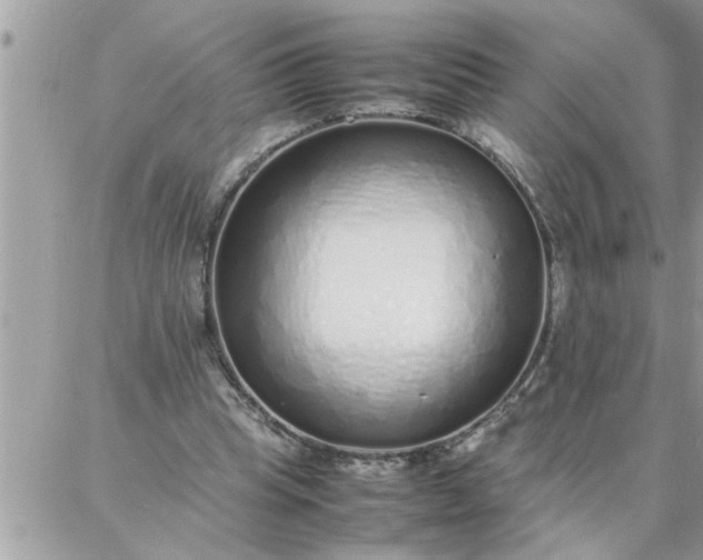 X0000087360345200705041901