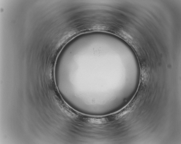 X0000087360347200705041901