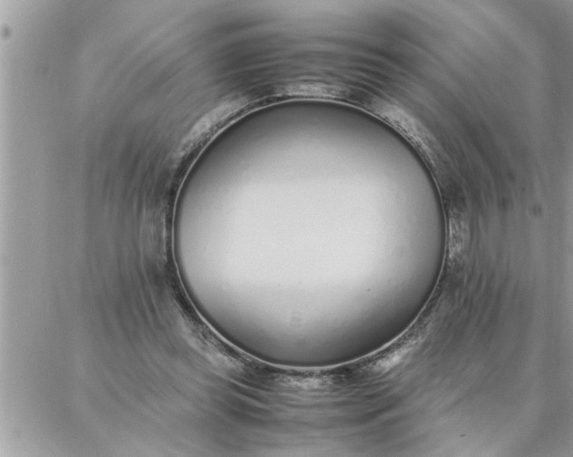 X0000087360349200705041901