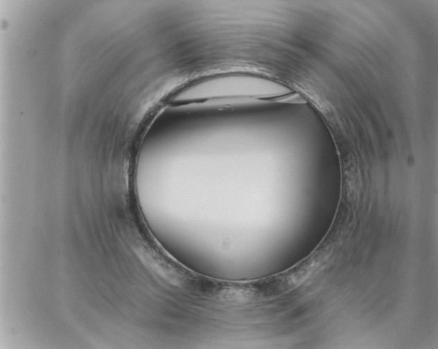 X0000087360350200705041901