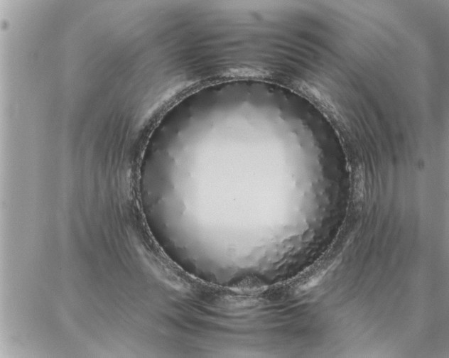 X0000087360351200705041901