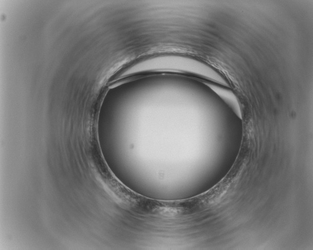 X0000087360352200705041901