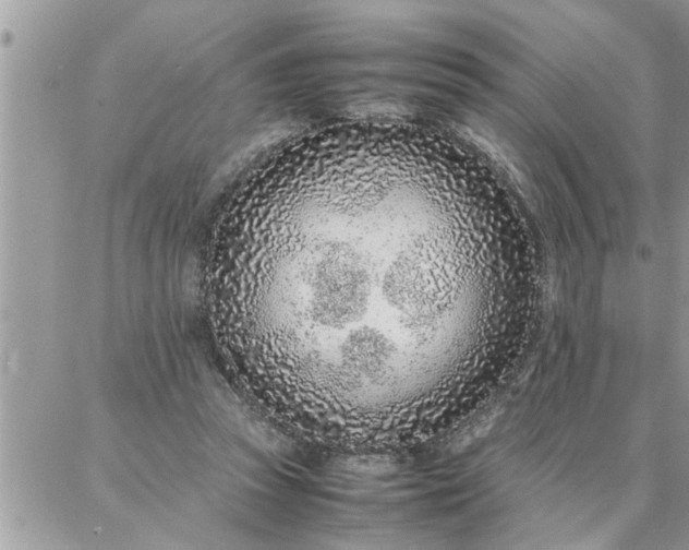 X0000087360353200705041901