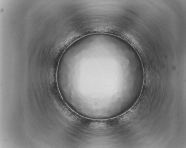 X0000087360354200705041901