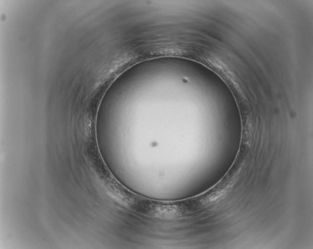 X0000087360355200705041901