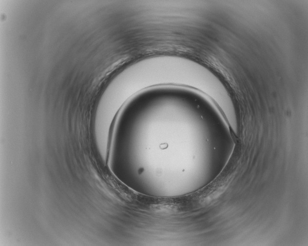 X0000087360356200705041901