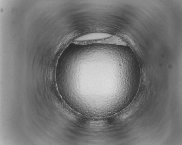 X0000087360357200705041901