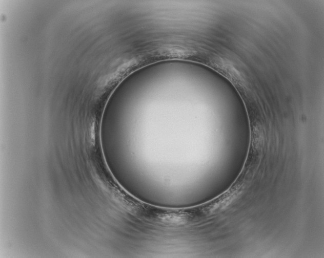 X0000087360358200705041901