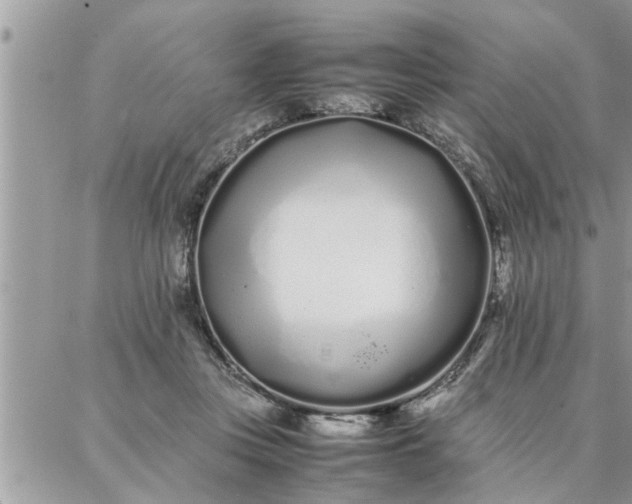 X0000087360359200705041901