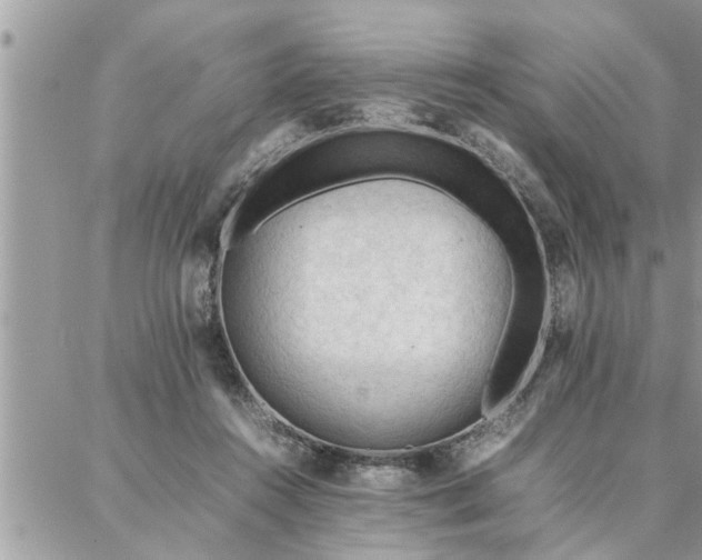 X0000087360360200705041901