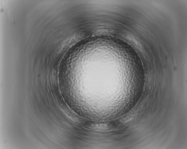 X0000087360361200705041901