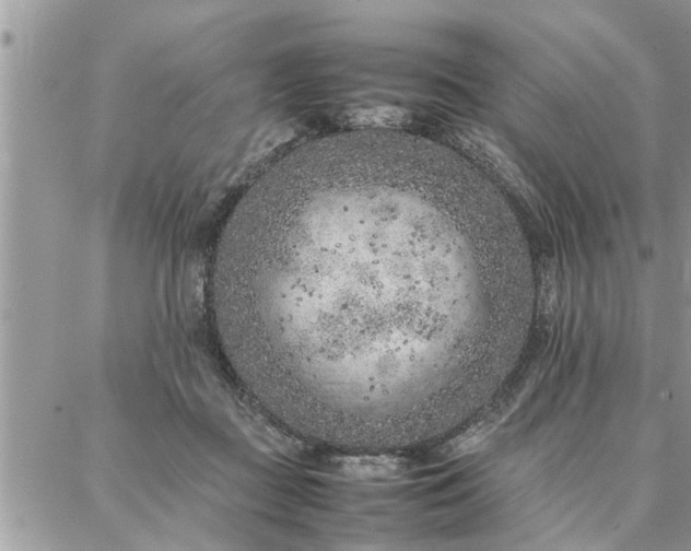 X0000087360363200705041901